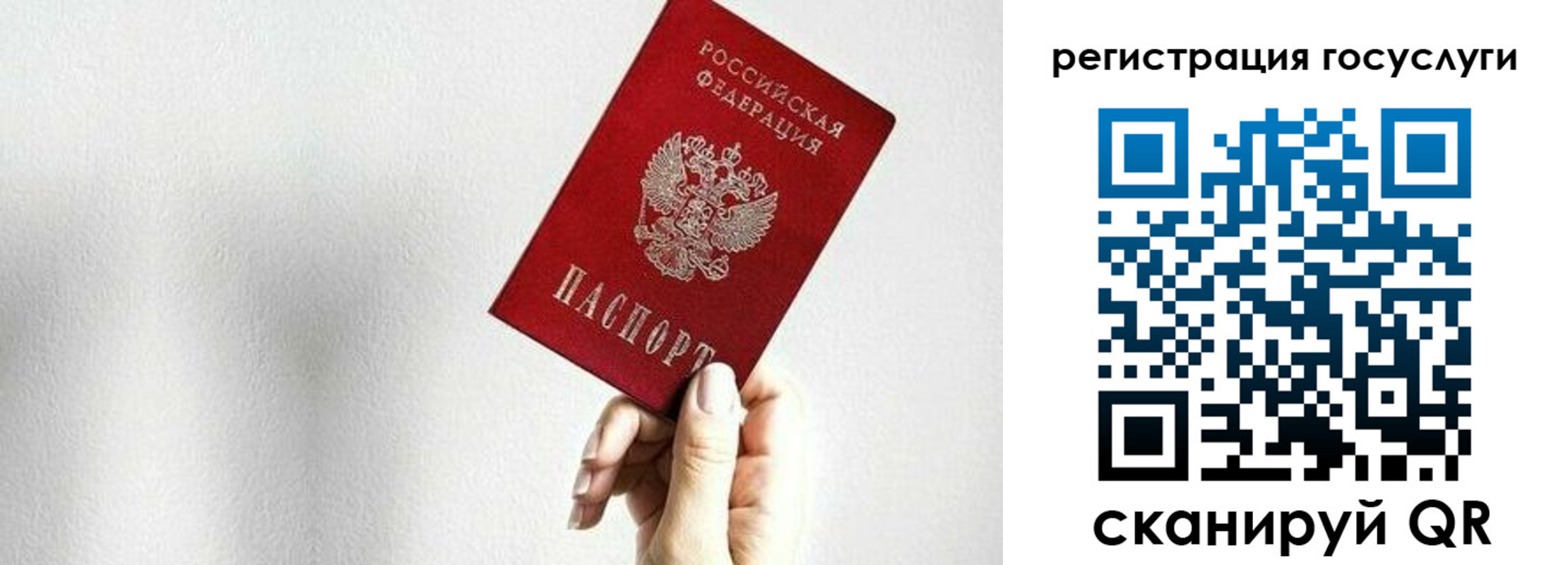 временная регистрация гарантия в Липецкая области